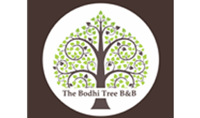 THE BODHI TREE BNB, SHIMLA